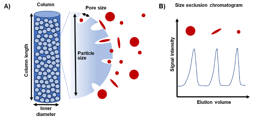 Size Exclusion Chromatography - Columns | .com Size Exclusion Chromatography - Columns | .com