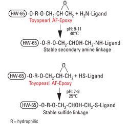 AFC_Epoxy_fig1_coupling.jpg