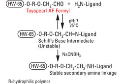 AFC_Formyl_fig1_coupling.jpg