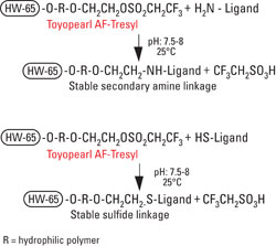 AFC_Tresyl_fig1_coupling.jpg