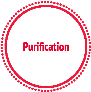 Icons-circle-tiles-purification.png