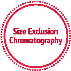 Size Exclusion Chromatography